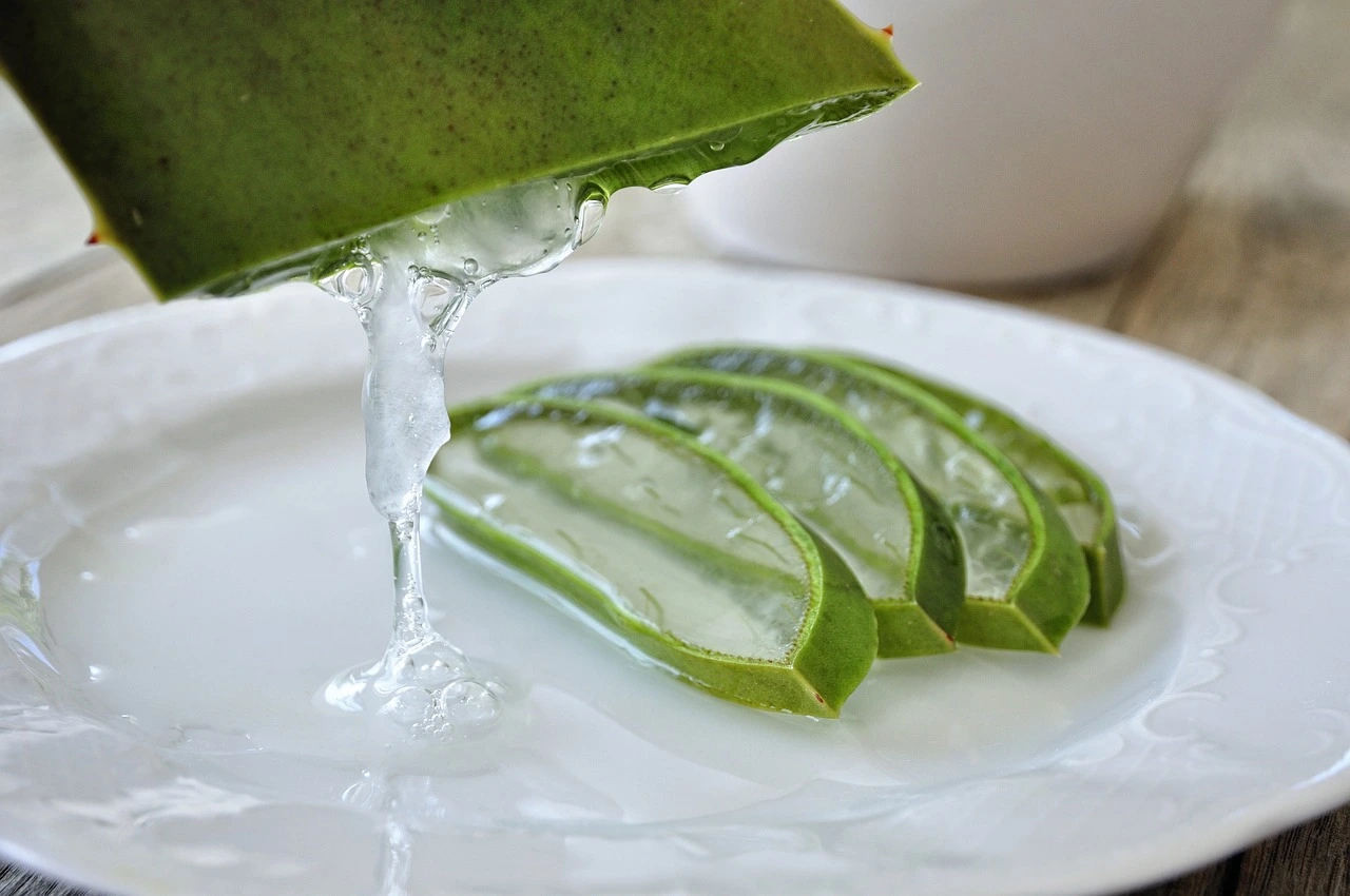 Aloe Vera: The Natural Remedy for All Your Skin and Health Woes